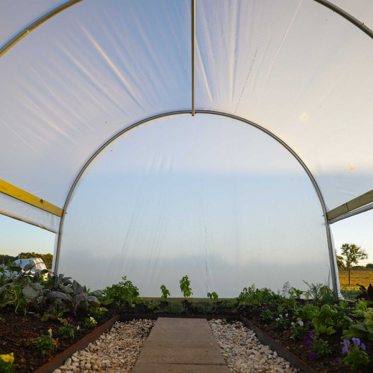 Hobby Greenhouse Kit